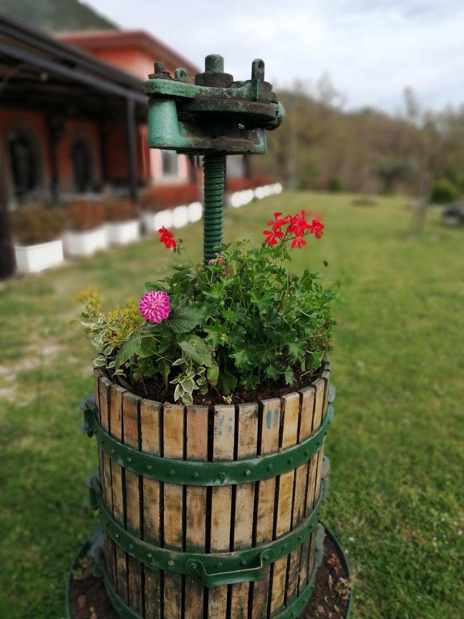 Salisu Country House Mignano Monte Lungo Экстерьер фото